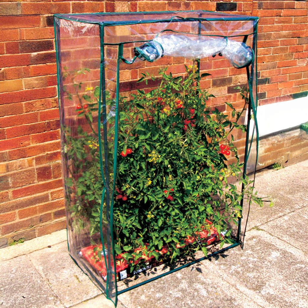 Hillier Tomato Growhouse 5056771096853 2